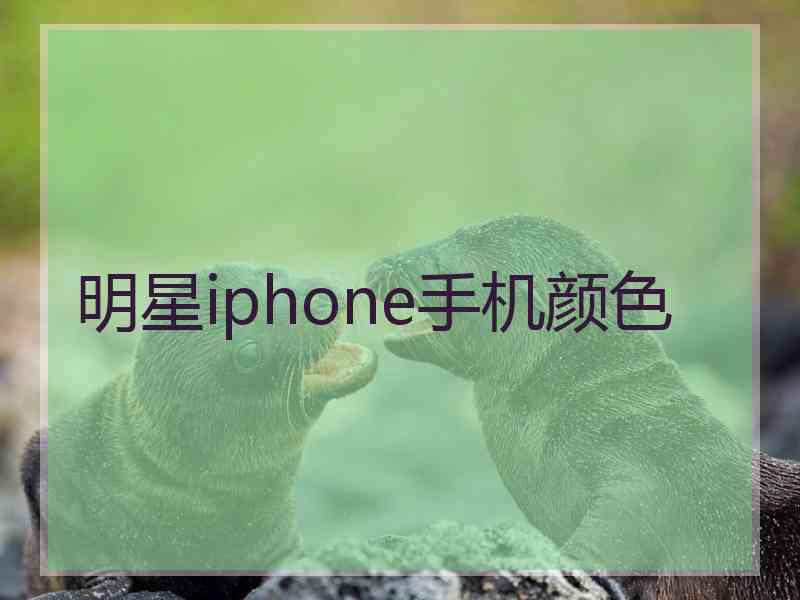 明星iphone手机颜色