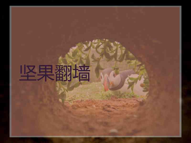 坚果翻墙
