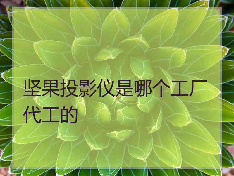 坚果投影仪是哪个工厂代工的
