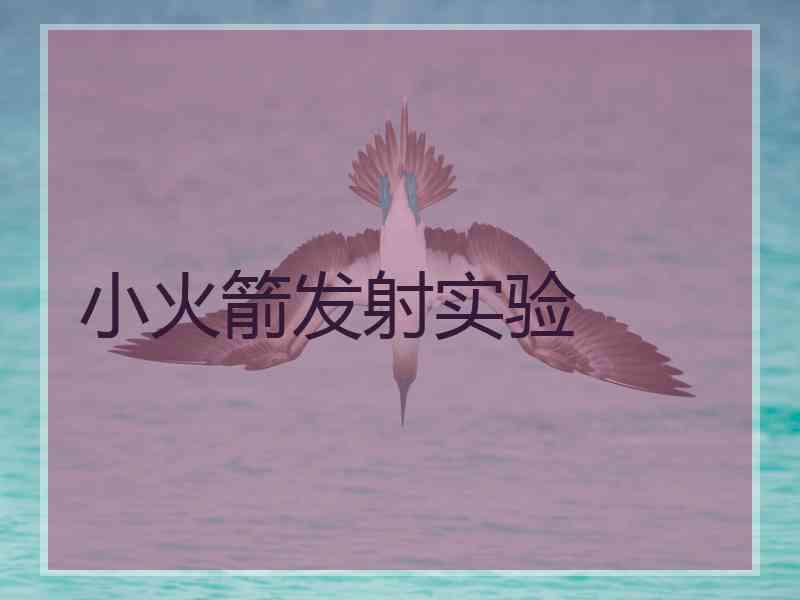 小火箭发射实验