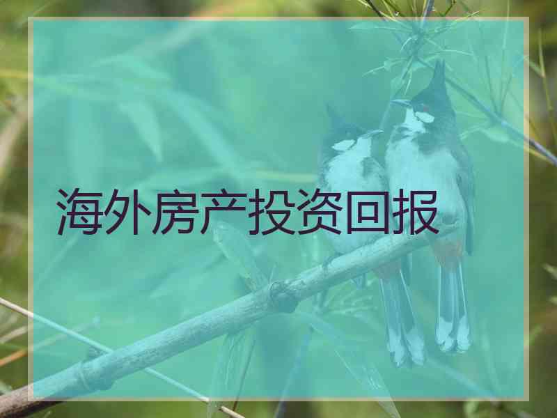 海外房产投资回报