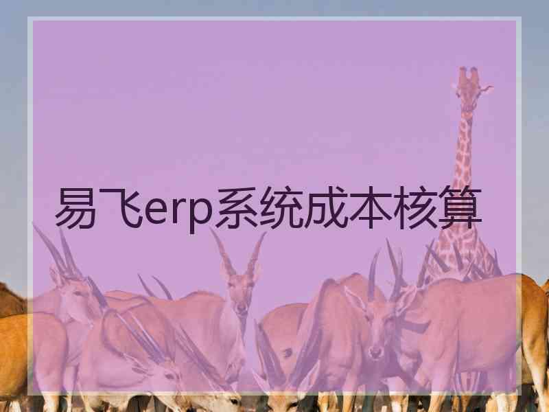 易飞erp系统成本核算
