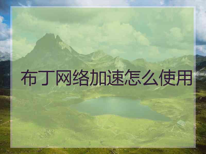 布丁网络加速怎么使用