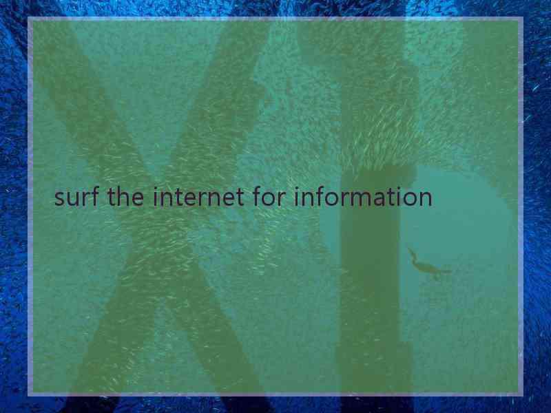surf the internet for information
