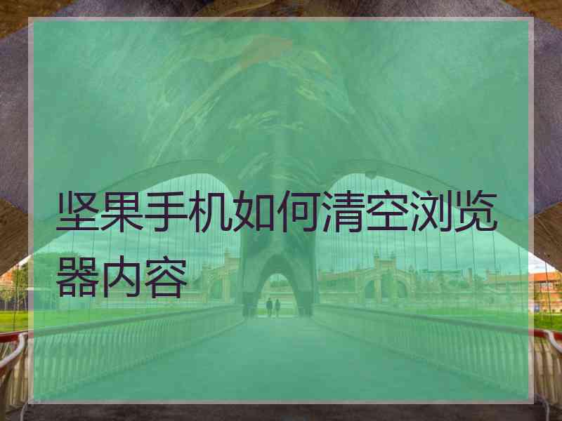 坚果手机如何清空浏览器内容