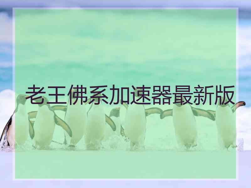 老王佛系加速器最新版