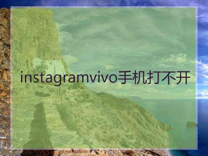 instagramvivo手机打不开