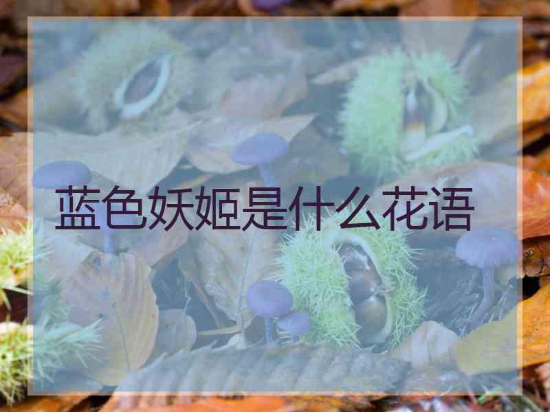 蓝色妖姬是什么花语