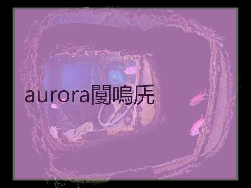 aurora闅嗚兏