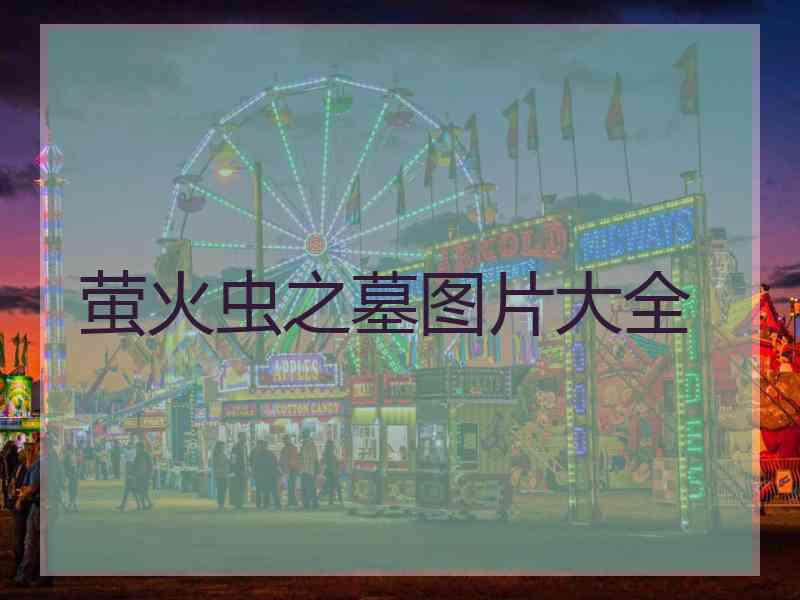 萤火虫之墓图片大全