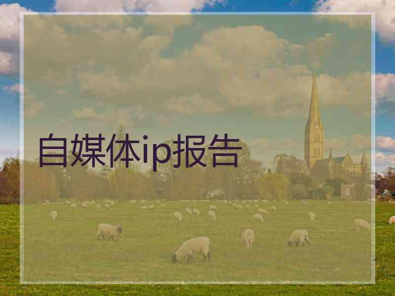 自媒体ip报告