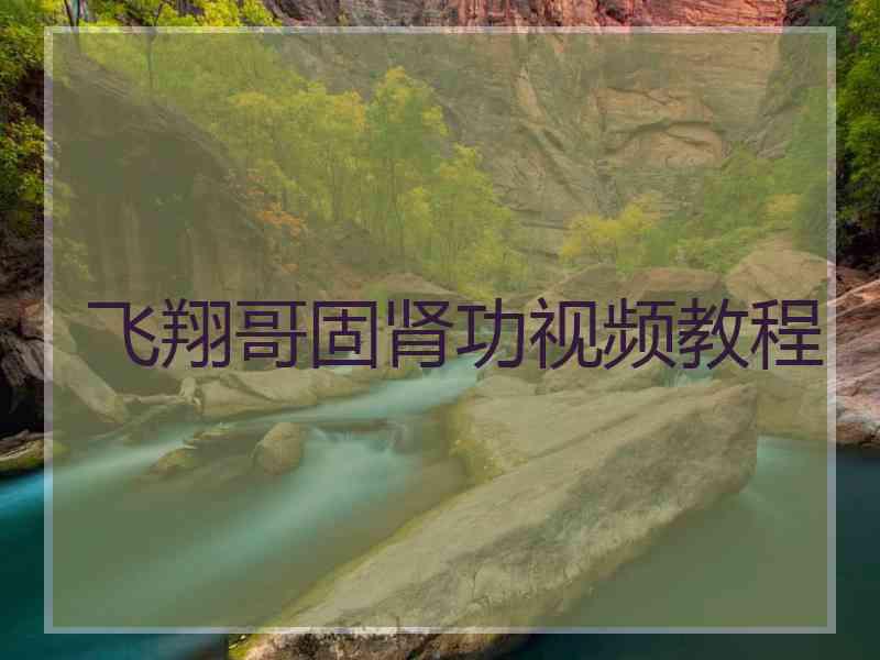 飞翔哥固肾功视频教程