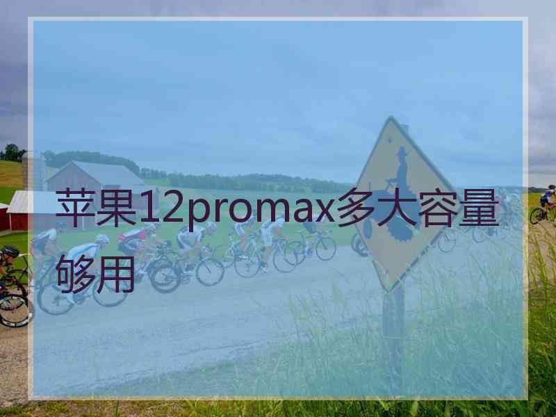 苹果12promax多大容量够用