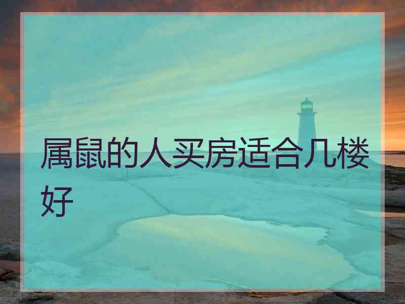 属鼠的人买房适合几楼好