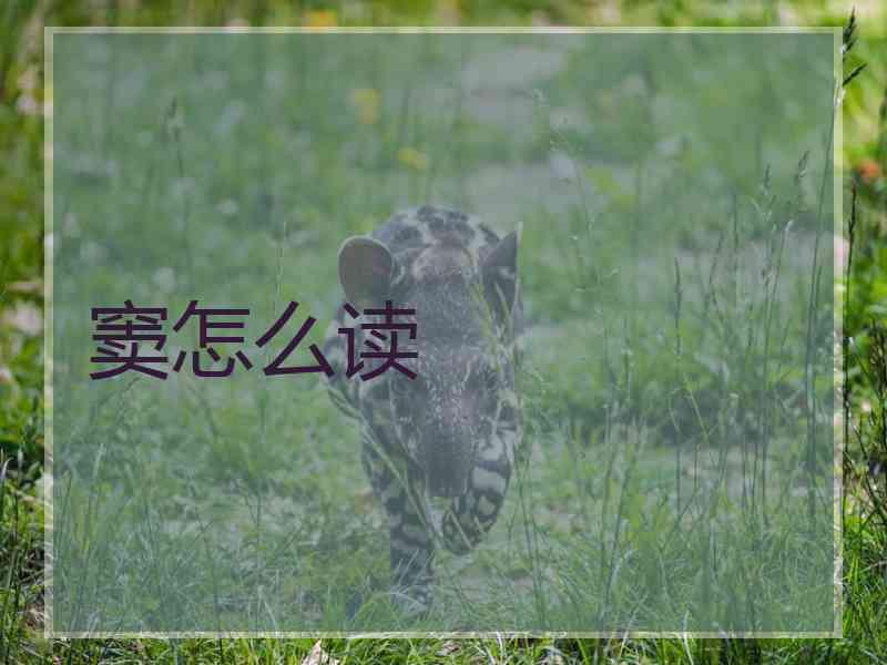 窦怎么读