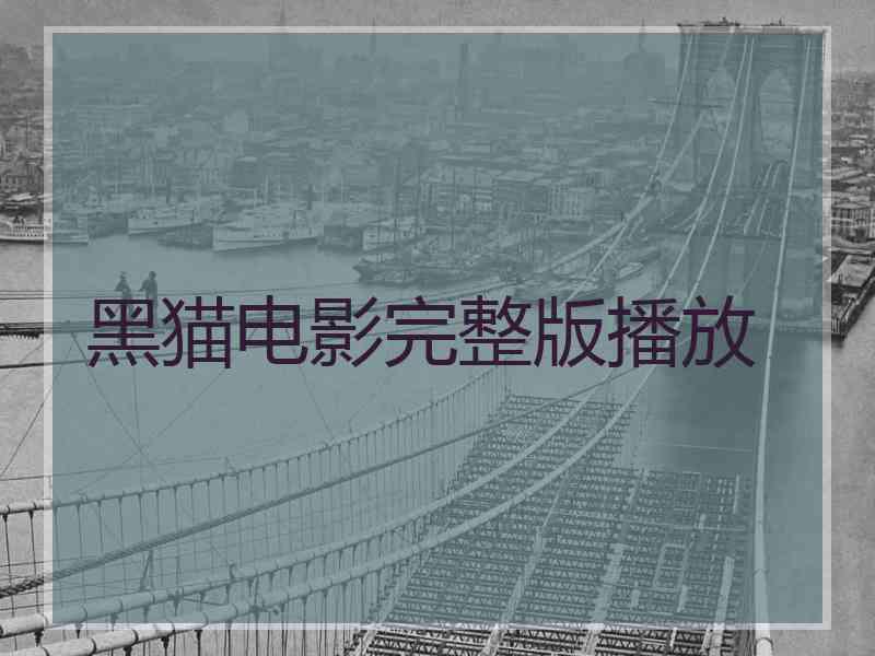 黑猫电影完整版播放