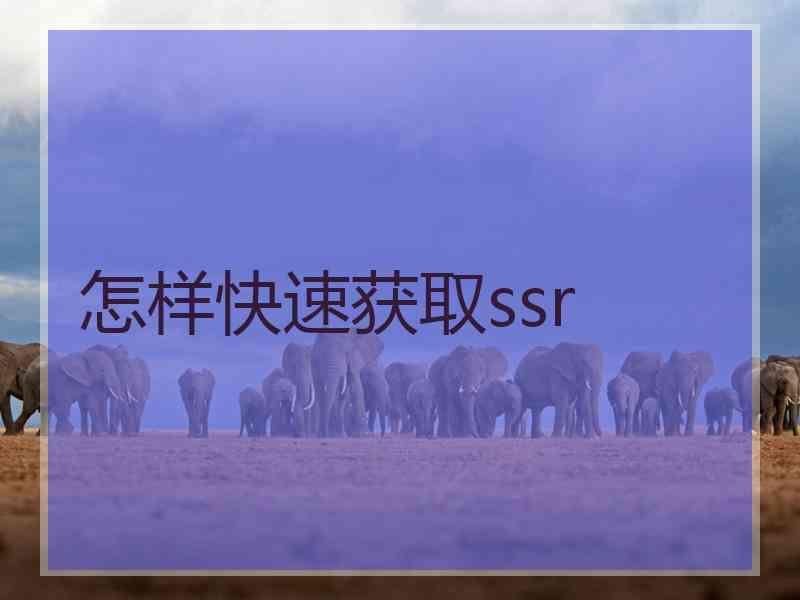 怎样快速获取ssr