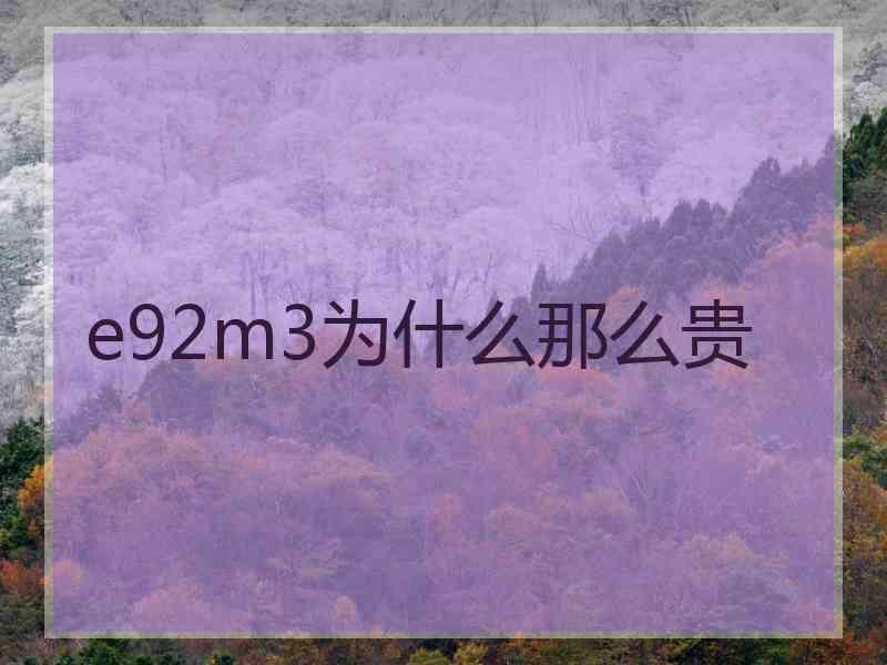 e92m3为什么那么贵