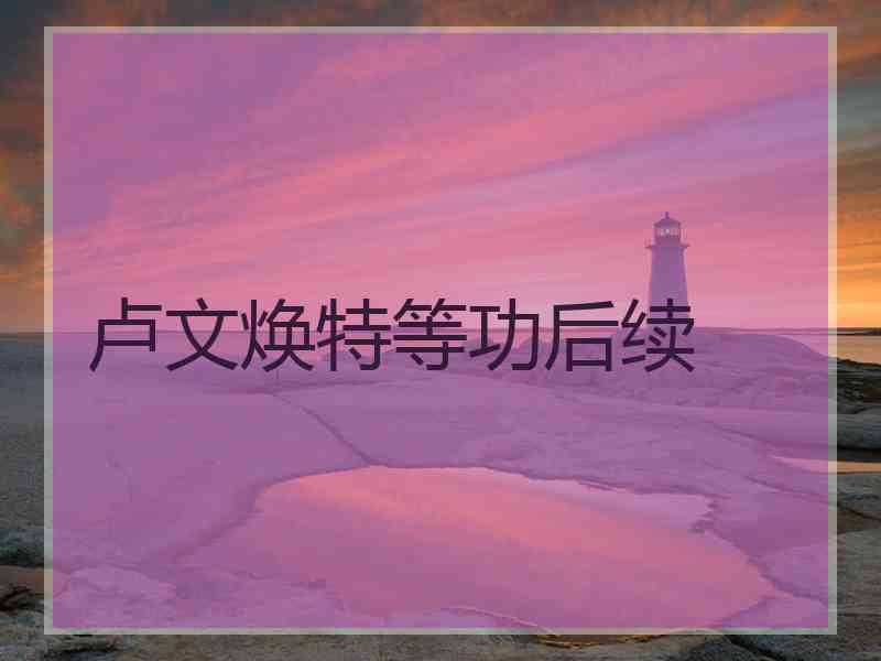 卢文焕特等功后续