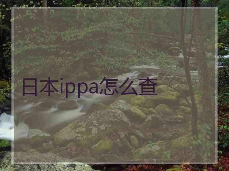 日本ippa怎么查