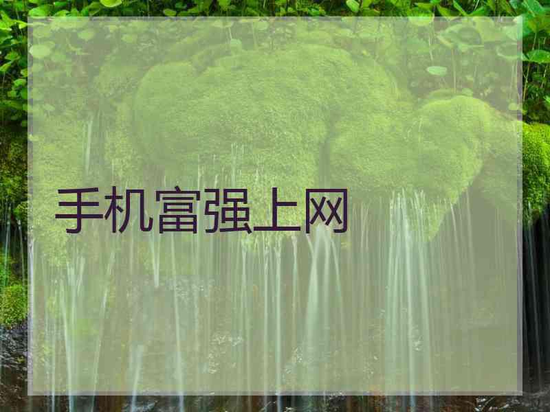 手机富强上网