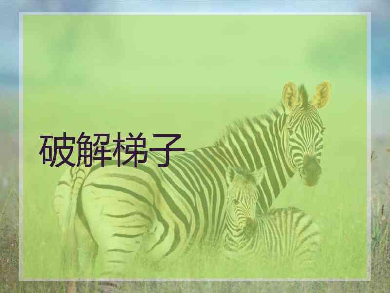 破解梯子