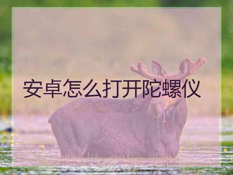 安卓怎么打开陀螺仪