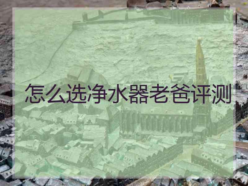 怎么选净水器老爸评测