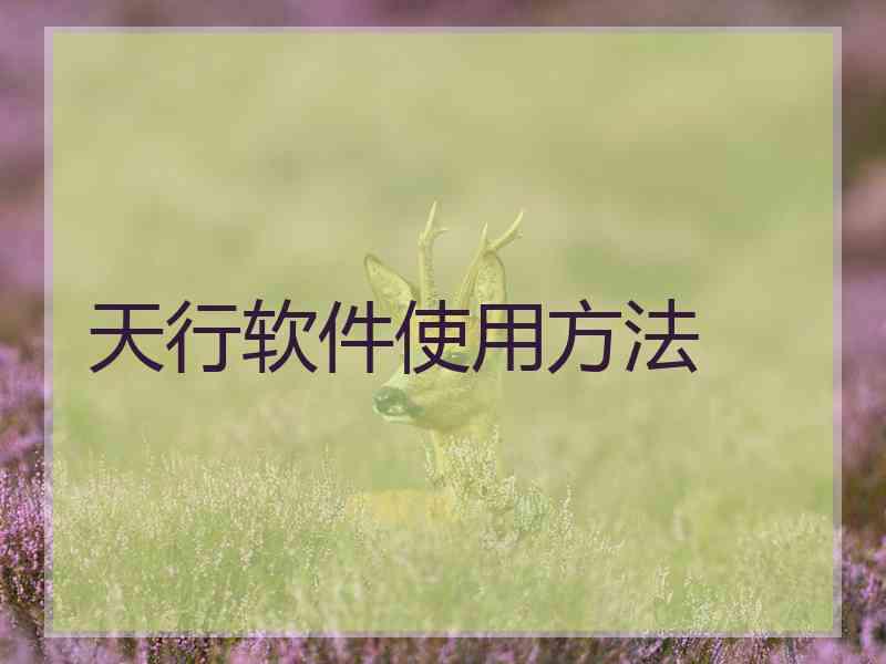天行软件使用方法