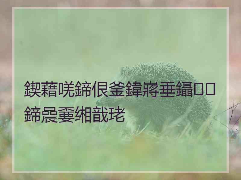 鍥藉唴鍗佷釜鍏嶈垂鑷鍗曟嫑缃戠珯