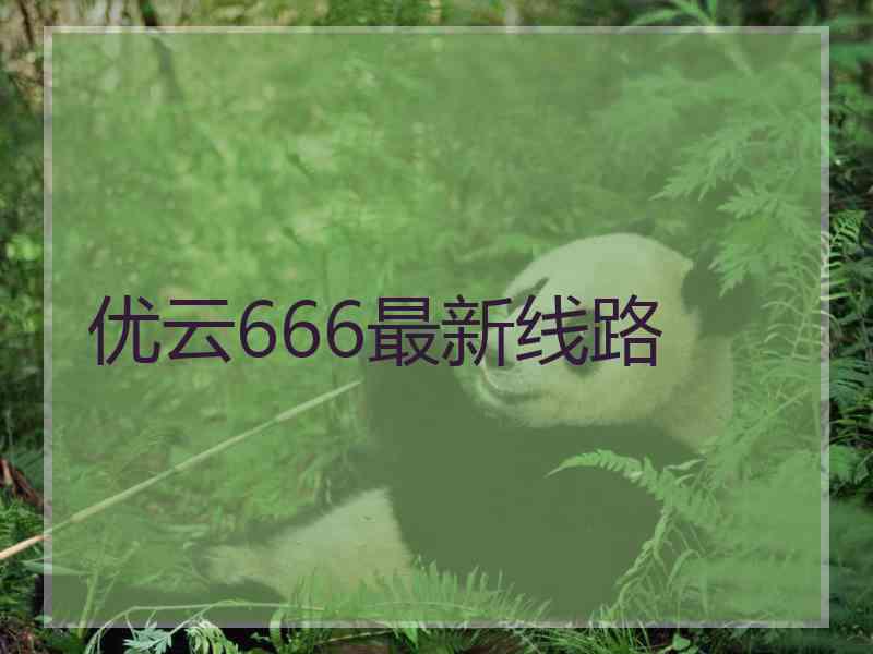 优云666最新线路