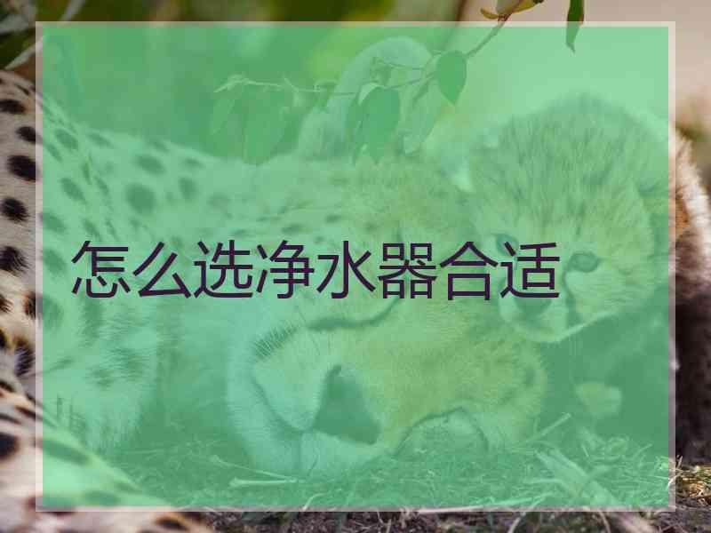 怎么选净水器合适