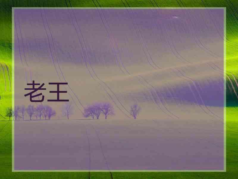老王