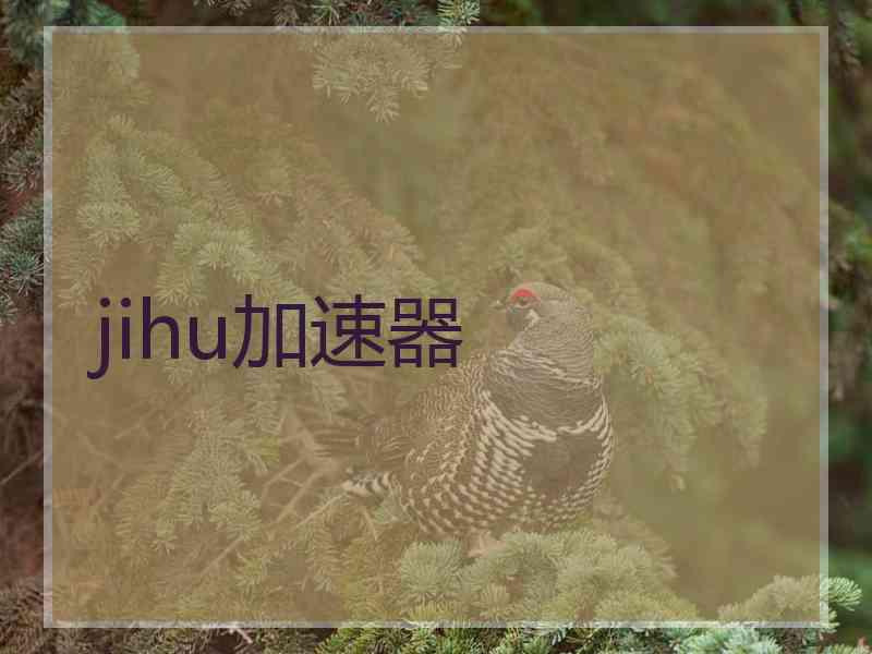 jihu加速器