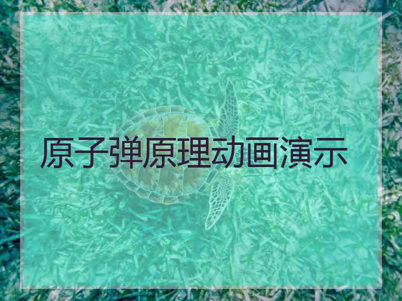 原子弹原理动画演示