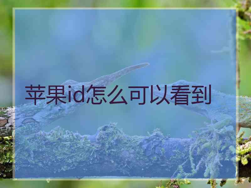 苹果id怎么可以看到