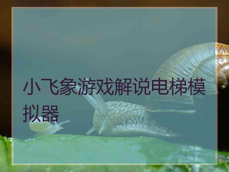 小飞象游戏解说电梯模拟器