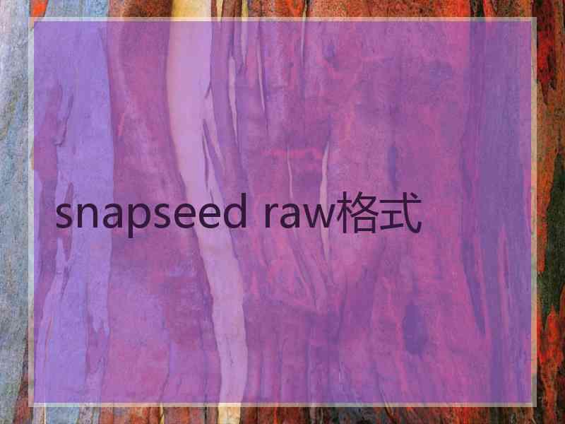 snapseed raw格式