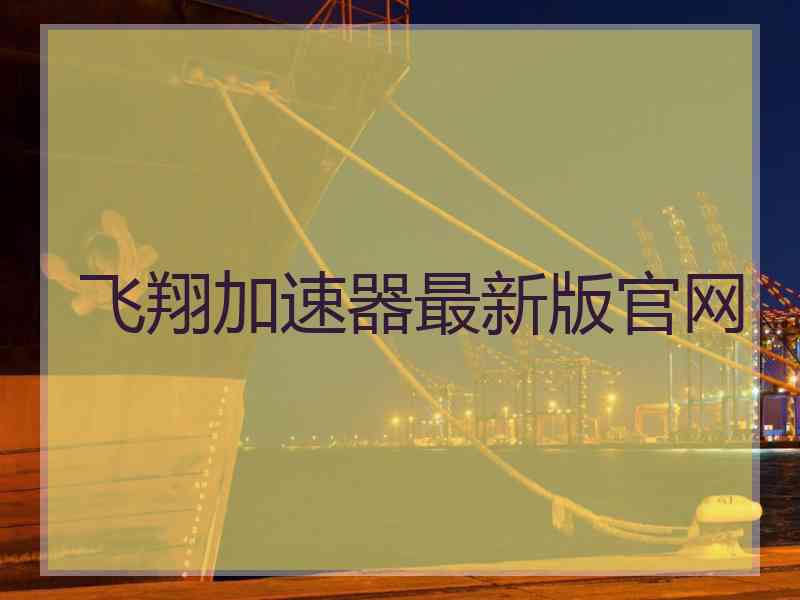 飞翔加速器最新版官网