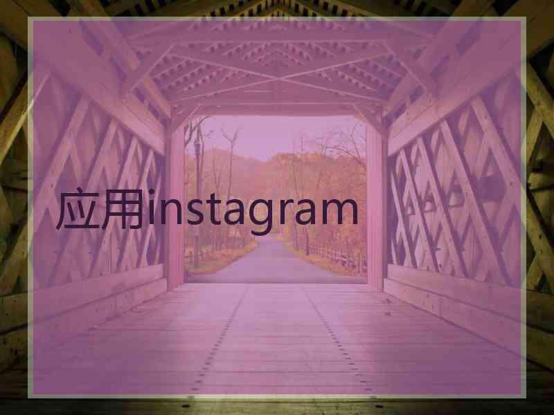 应用instagram