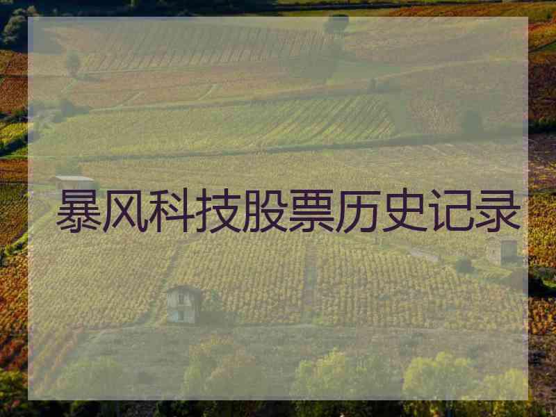 暴风科技股票历史记录