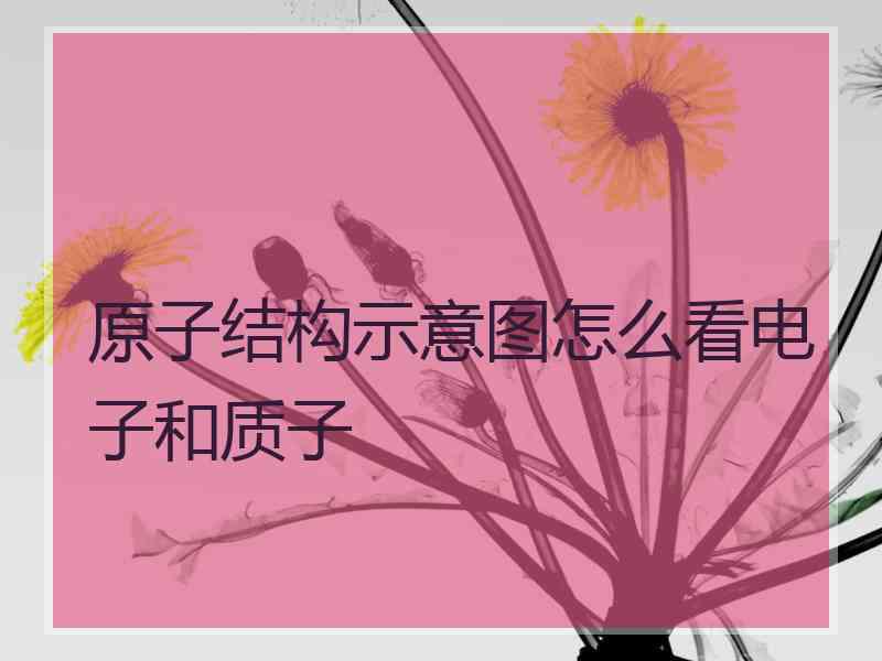 原子结构示意图怎么看电子和质子