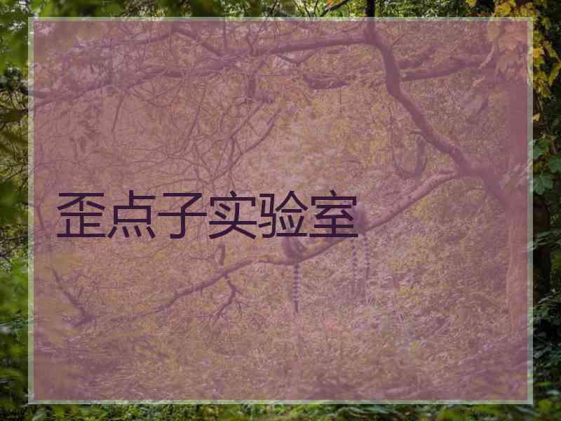 歪点子实验室