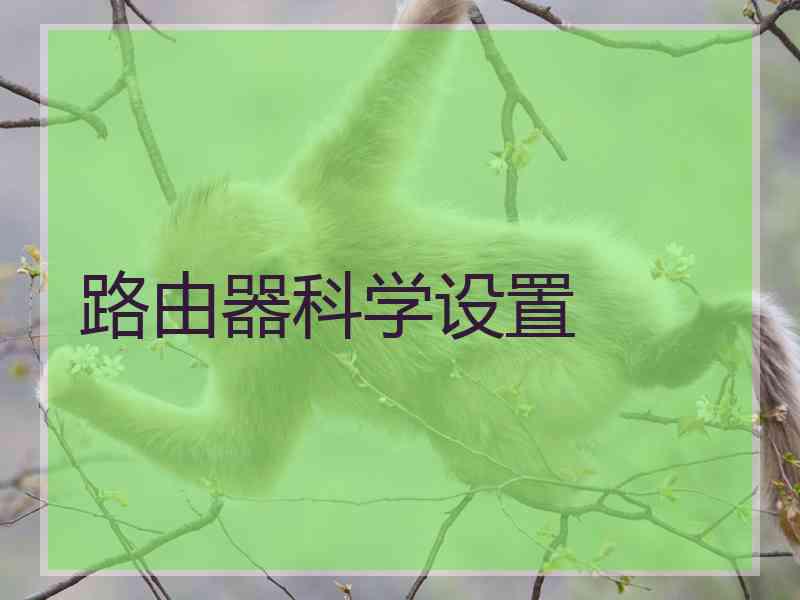 路由器科学设置