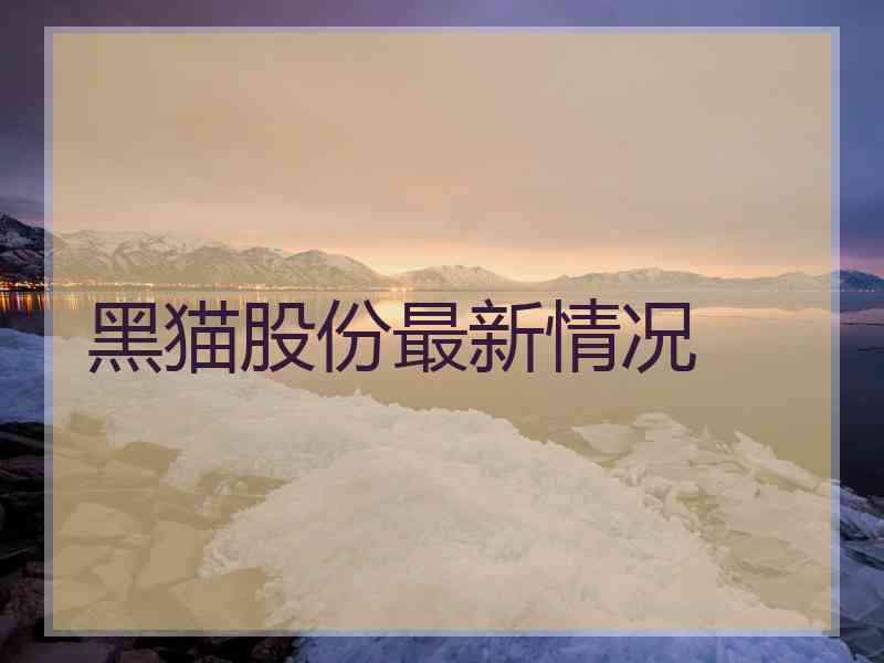 黑猫股份最新情况