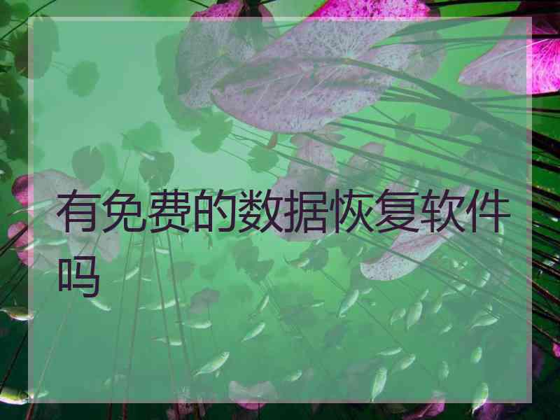 有免费的数据恢复软件吗