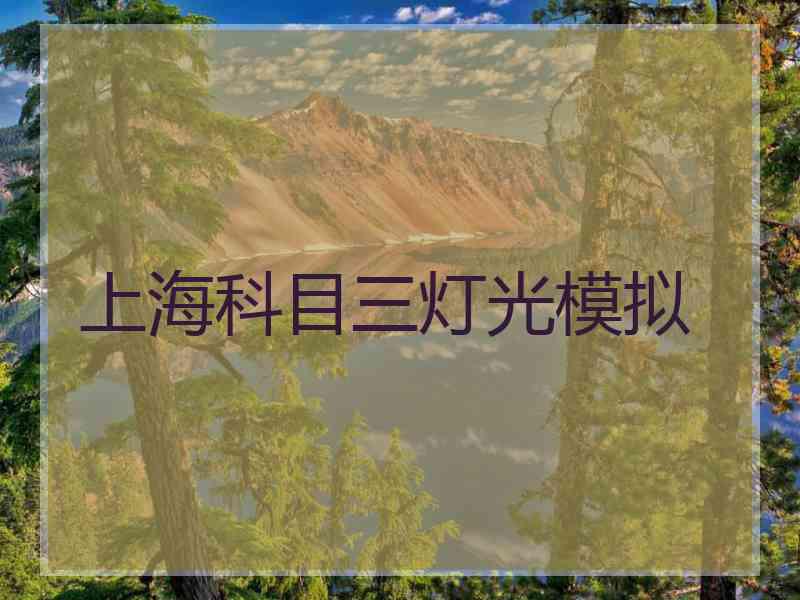 上海科目三灯光模拟