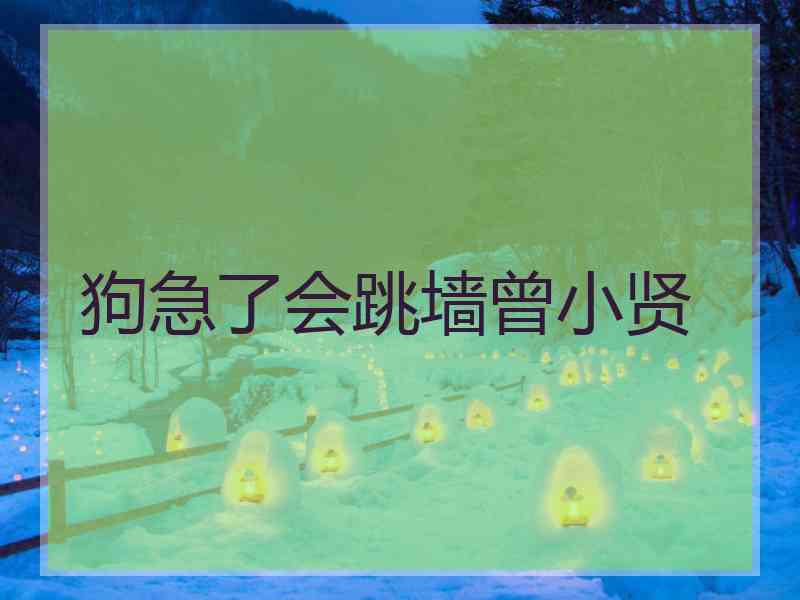 狗急了会跳墙曾小贤