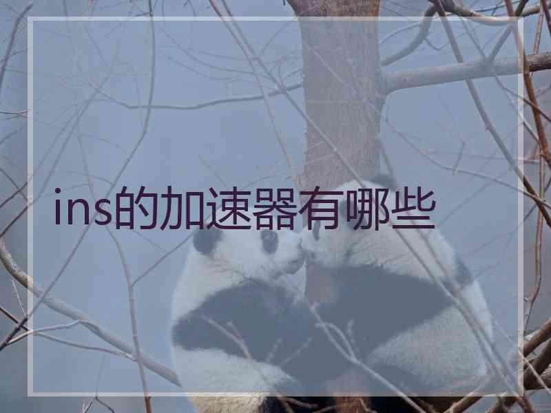 ins的加速器有哪些