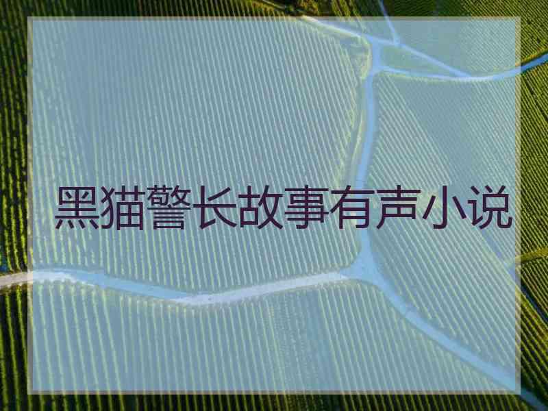 黑猫警长故事有声小说